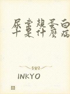 尿常规蛋白质2十是什么病