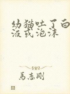 幼猫吐了白色黏液或泡沫