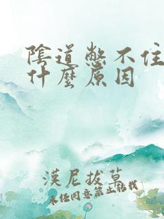 阴道憋不住尿是什么原因