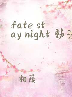 fate stay night 动漫