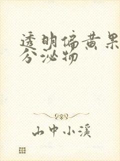 透明偏黄果冻状分泌物