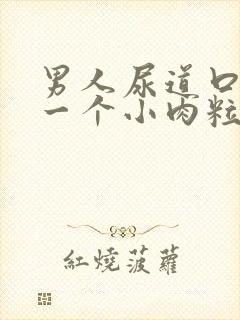 男人尿道口长了一个小肉粒