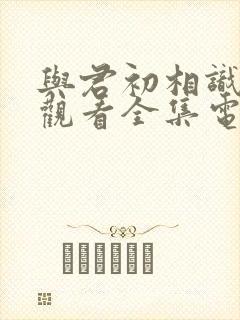 与君初相识免费观看全集电视剧