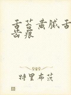 舌苔黄腻舌边有齿痕