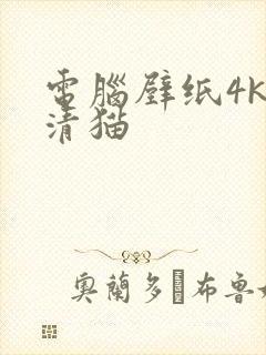 电脑壁纸4k超清猫