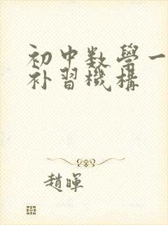 初中数学一对一补习机构