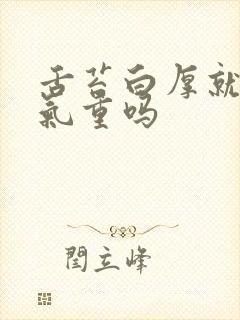 舌苔白厚就是湿气重吗