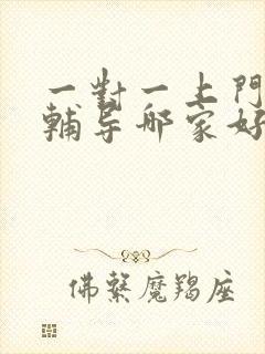 一对一上门家教辅导哪家好