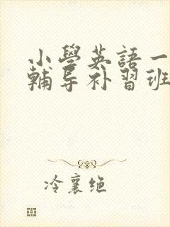 小学英语一对一辅导补习班