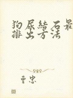 狗尿结石最快的排出方法