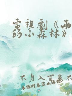 电视剧《两个人的小森林》