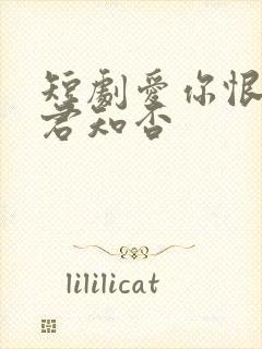 短剧爱你恨你问君知否