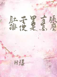 肚子里有胀气不排便是怎么回事