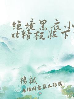 绝境黑夜小说txt精校版下载