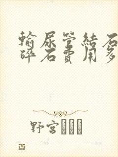 输尿管结石体外碎石费用多少