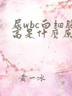 尿wbc白细胞高是什么原因