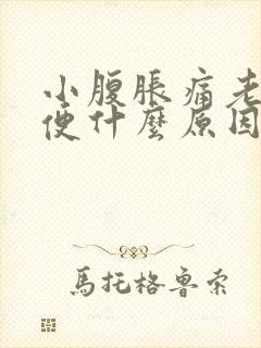 小腹胀痛老想大便什么原因