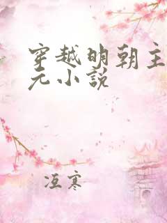 穿越明朝主角孙元小说