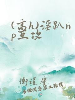 (高h)淫趴np互攻