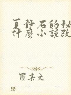 夏静石的秘密是什么小说改编的