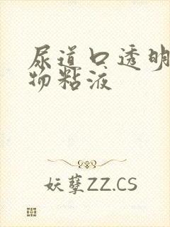 尿道口透明分泌物粘液