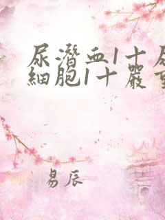 尿潜血1十尿白细胞1十严重吗