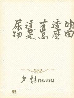 尿道有透明分泌物是怎么回事