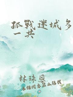 孤战迷城多少集一共