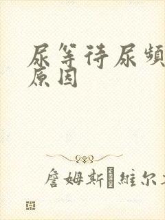 尿等待尿频什么原因