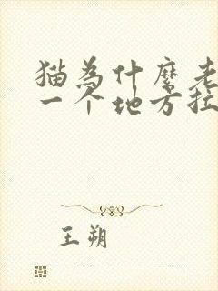 猫为什么老是在一个地方拉尿