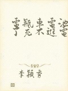 电瓶车电池放久了充不进电怎么办