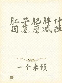 肚子肥胖什么原因怎么减掉