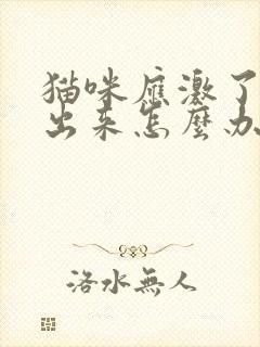 猫咪应激了尿不出来怎么办