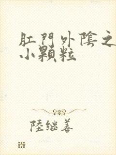 肛门外阴之间长小颗粒