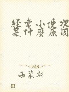 经常小便次数多是什么原因