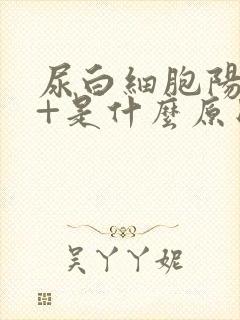 尿白细胞阳性2+是什么原因