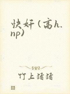 快奸 (高h.np)