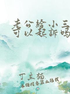 老公给小三钱我可以起诉吗