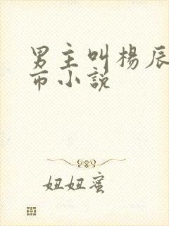 男主叫杨辰的都市小说