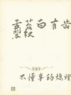 舌苔白有齿痕和裂纹