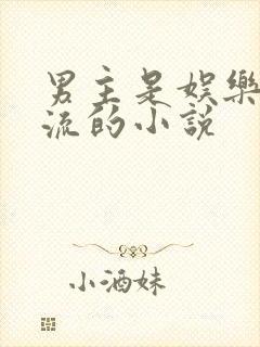 男主是娱乐圈顶流的小说