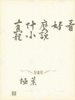 有什么好看的甜宠小说