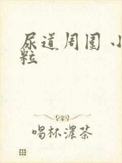 尿道周围 小肉粒