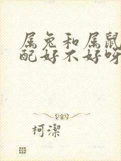 属兔和属鼠的婚配好不好呀