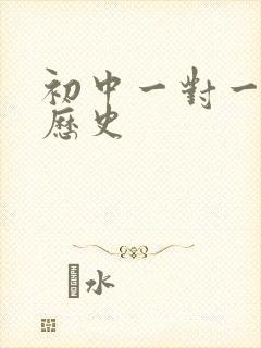 初中一对一辅导历史