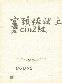 宫颈鳞状上皮病变cin2级