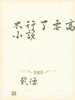 不行了要高潮了小说