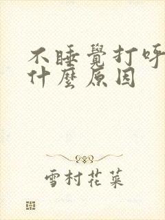 不睡觉打呼噜是什么原因