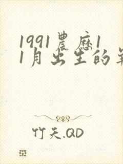 1991农历11月出生的羊命运