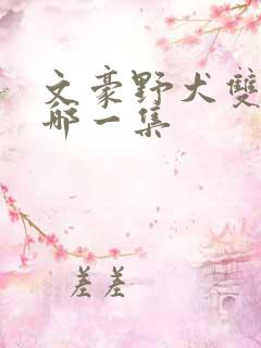 文豪野犬双黑在哪一集